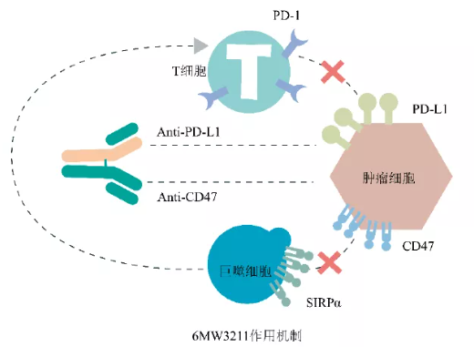 迈威生物招股书