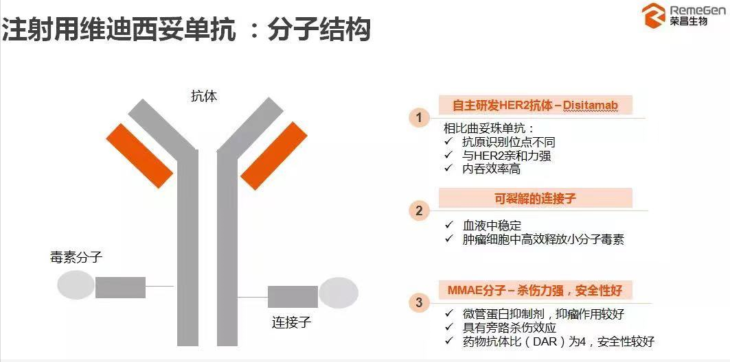 注射用維迪西妥單抗分子結(jié)構(gòu)及優(yōu)勢(shì)