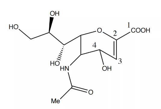 唾液酸过渡态中间体离子构型