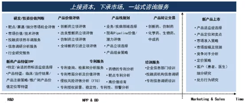 挺进宠物药研发期待康辰药业打造中国版辉瑞模式(图4)