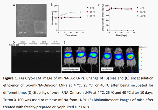 mRNA-LNP新冠肺炎**