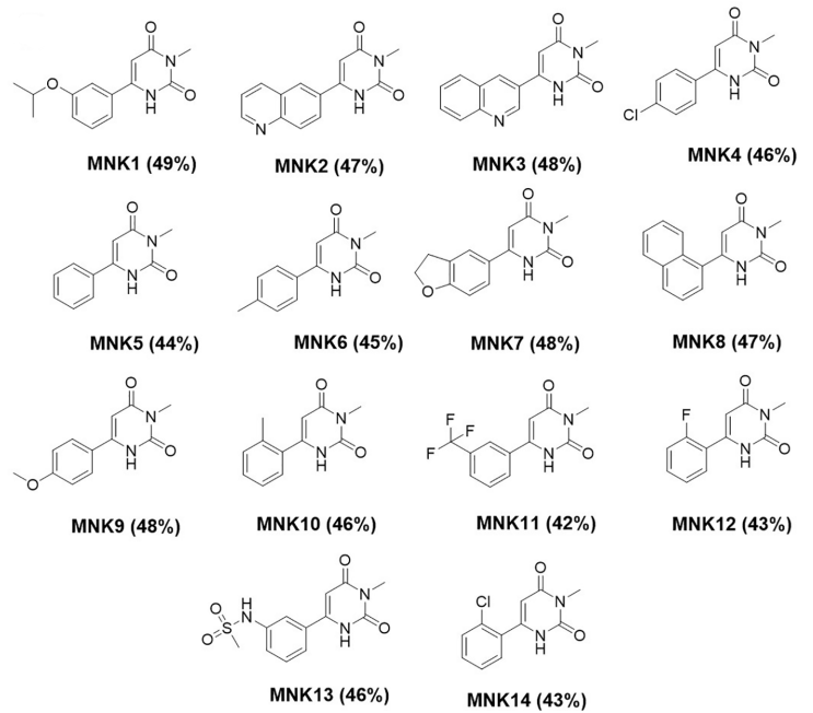 MNK系列化合物具体结构