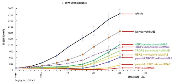 YH012在NCI-H1975模型药效结果
