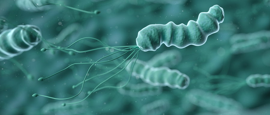 幽门螺杆菌抗菌药物耐药机制及其新型治疗方法