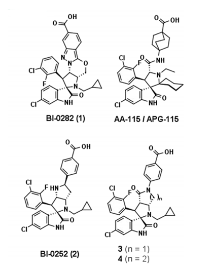螺环吲哚类MDM2-p53抑制剂