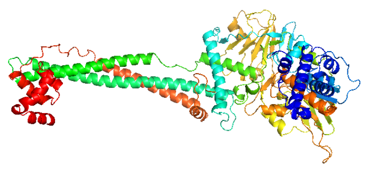 组蛋白去甲基化酶1（LSD1）
