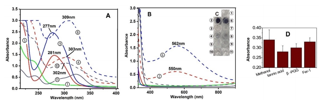 亚铁与单宁酸、β-PGG和Fer-1络合的紫外可见光谱分析