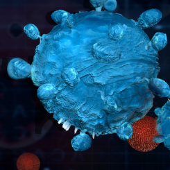 溶瘤病毒及其用于抗肿瘤治疗的研究进展