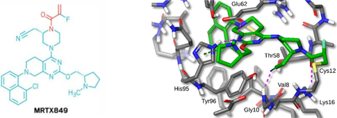 药物分子MRTX849 (Adagrasib) 上的丙烯酰胺基团（左图红色部分）与KRAS G12C蛋白的Cys12 (右侧蛋白晶体结构上的黄色部分为Cys上的硫原子) 共价结合后的晶体图。
