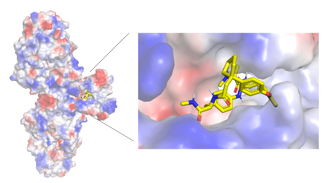 辉瑞报道的小分子 与IL-17A的晶体结构 （PDB：5HI4）