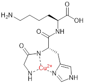 铜三肽-1-Cu2+络合物结构