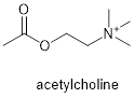 乙酰胆碱（acetylcholine）化学结构
