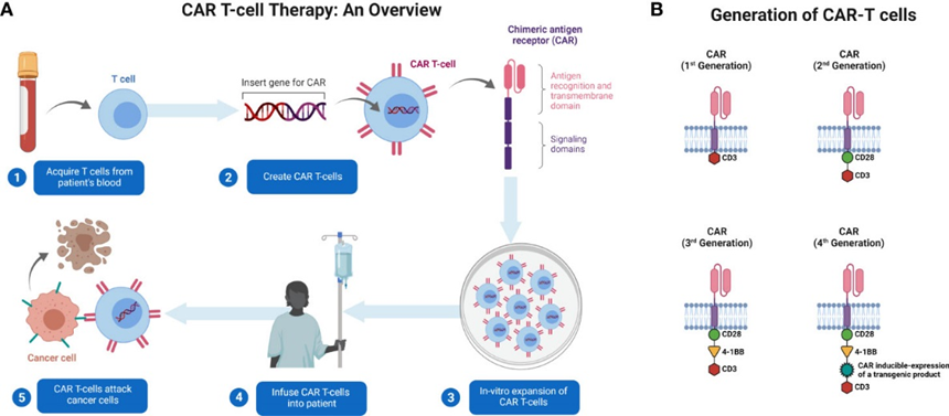CAR-T细胞疗法原理及四代CAR-T细胞结构