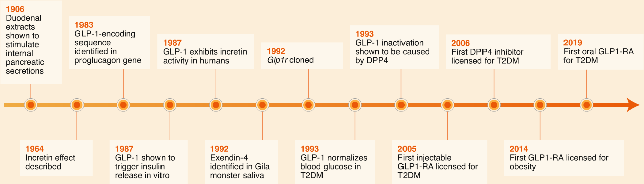 GLP-1机理研究和药物研发的里程碑