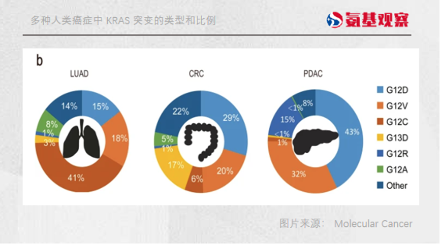 多种人类癌症中KRAS突变的类型和比例