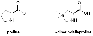 脯氨酸與γ-dimethylsilaproline化學(xué)結(jié)構(gòu)