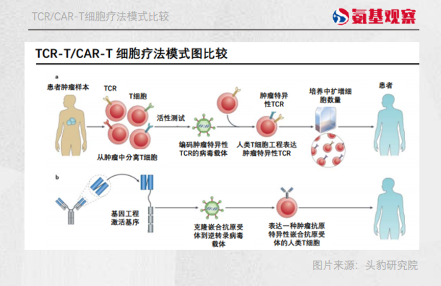 TCR/CAR-T细胞疗法模式比较