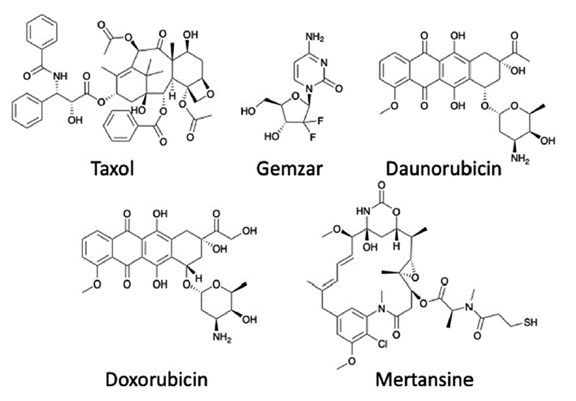 几种PDC中使用的细胞毒素分子结构