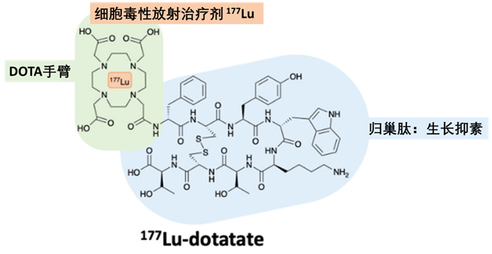 PDC药物177Lu-dotatate化学结构与组成部分示意图