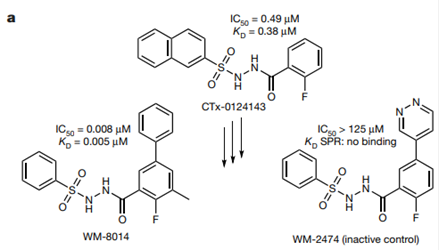 CTx-0124143、WM-8014及WM-1119的结构及体外活性