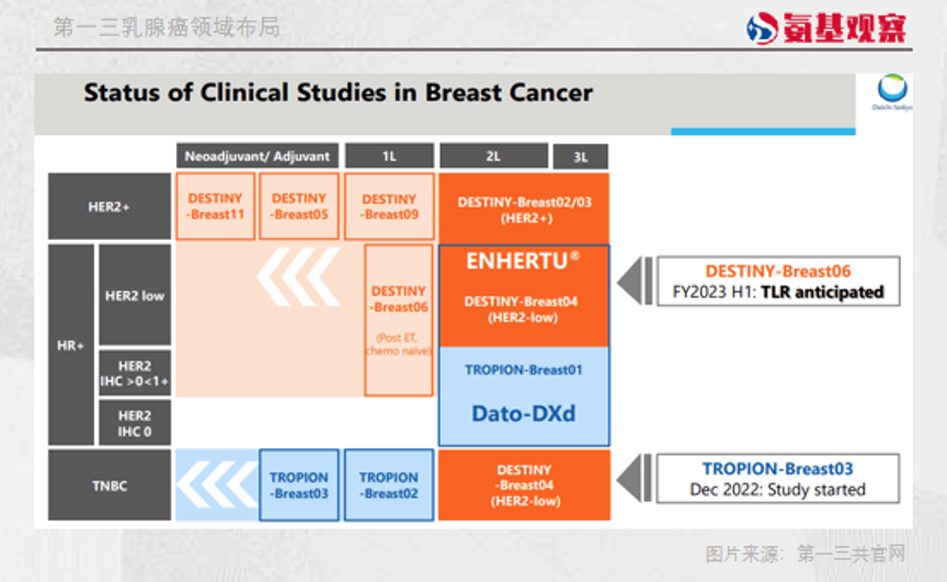 第一三乳腺癌领域布局