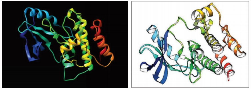 ILK蛋白结构