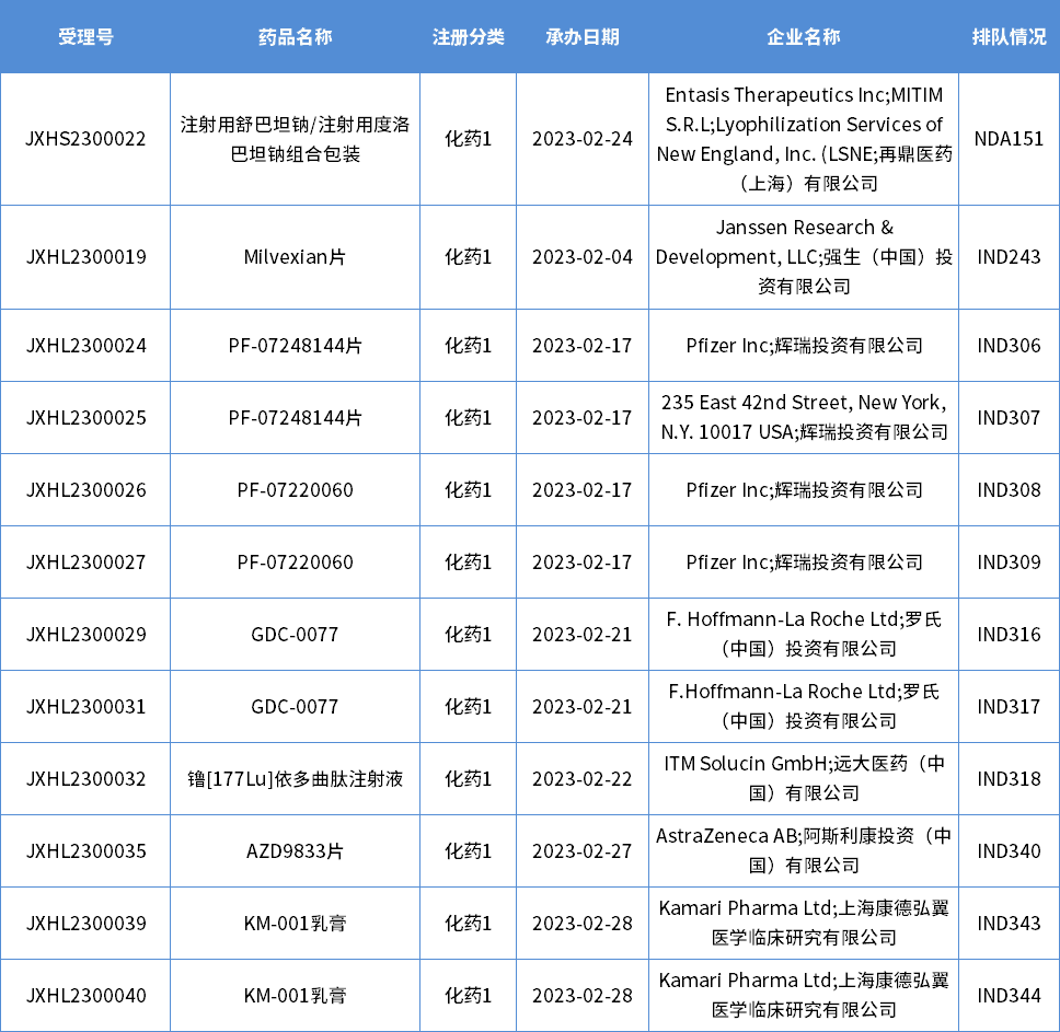 2023年2月新承办的化药1类国产新药