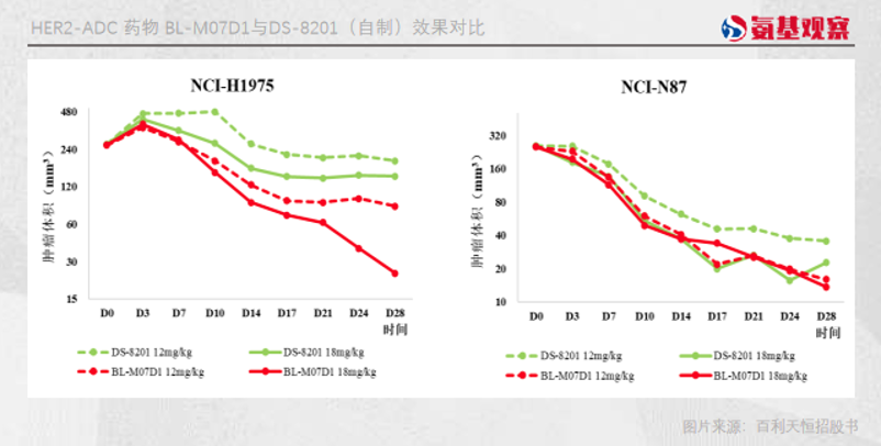 HER2-ADC药物BL-M07D1与DS-8201（自制）效果对比