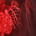 可溶性鸟苷酸环化酶激动剂对心血管的保护及对HFpEF的治疗作用机制