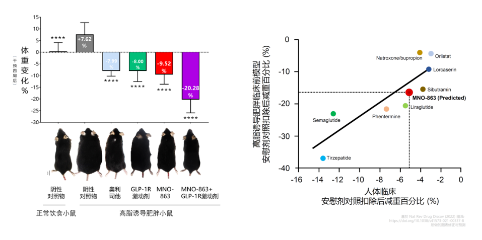 MNO-863对比全球已上市的减肥药物预估临床前与临床人体减重百份比