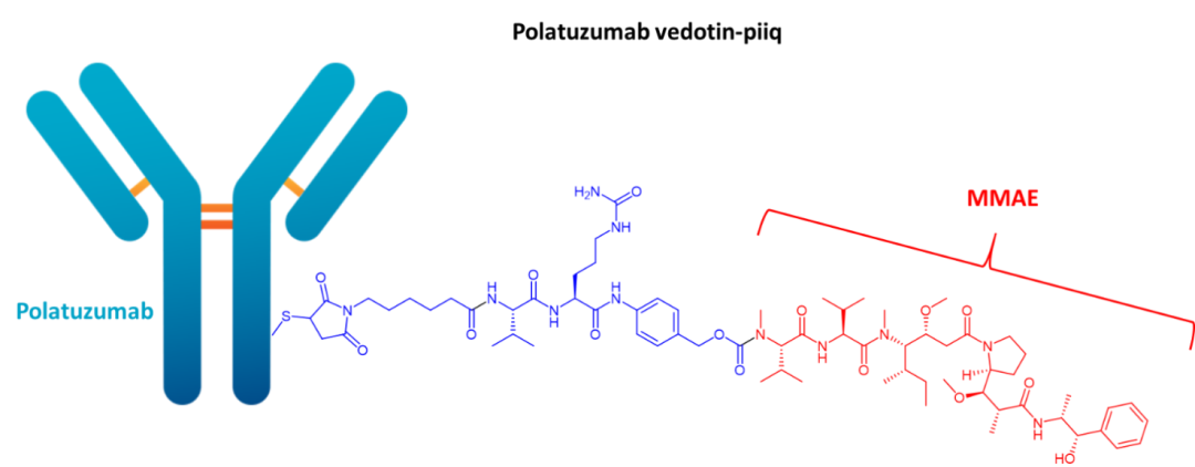 Polatuzumab vedotin-piiq(Polivy)