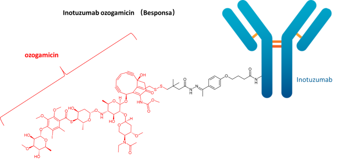  Inotuzumab ozogamicin（Besponsa）