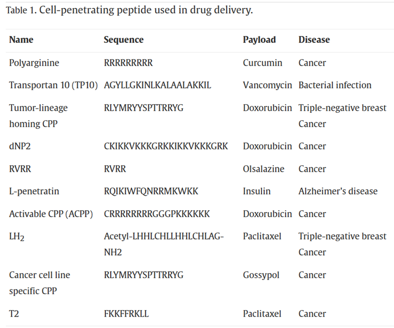 Cell-penetrating peptide used in drug delivery