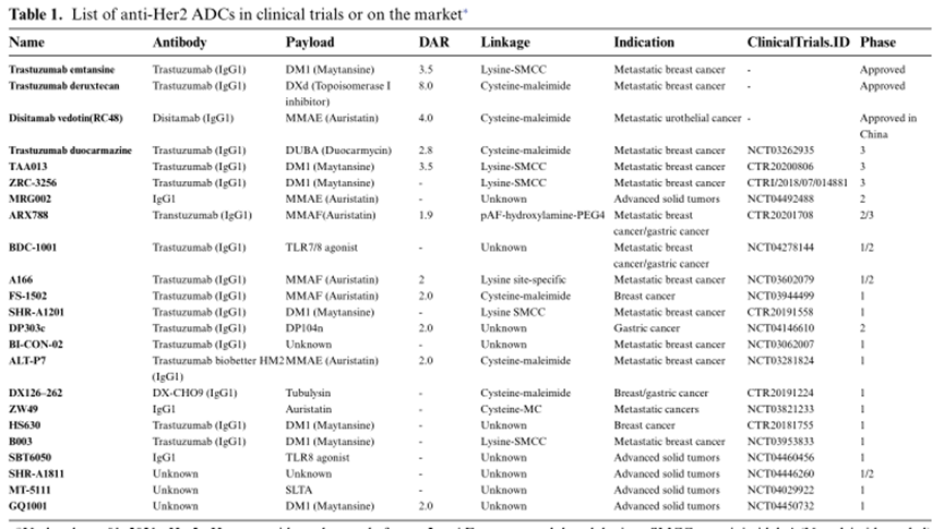 已上市和處于臨床階段的HER2 ADC