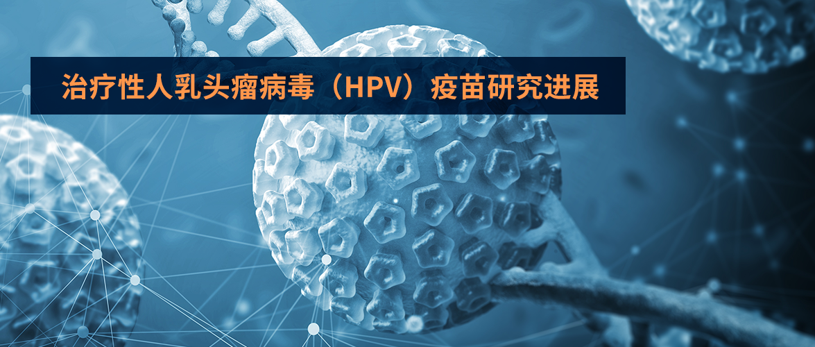 治疗性人乳头瘤病毒（HPV）疫 苗研究进展