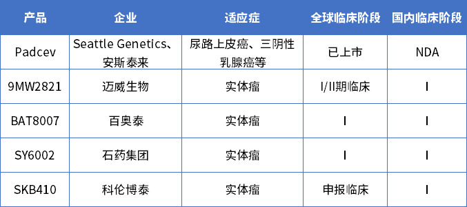 全球Nectin-4藥物在研格局