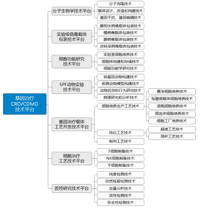 和元生物的基因治疗CRO/CDMO技术平台