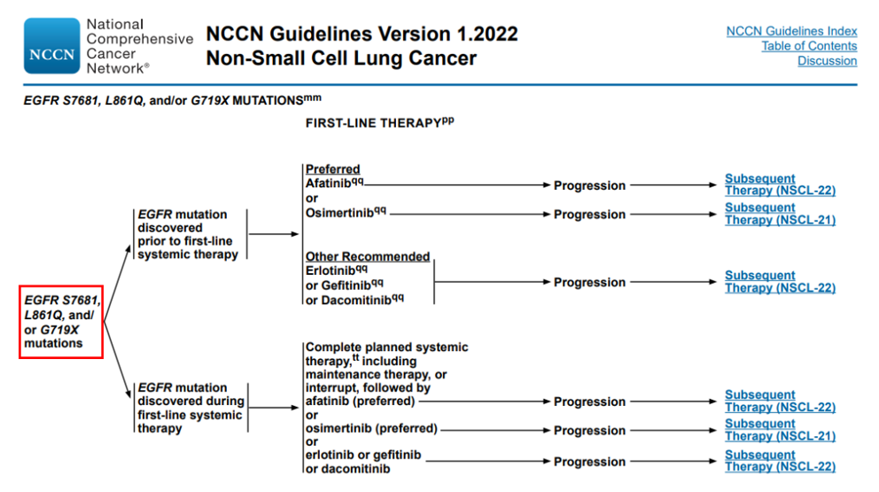 2022 v1版NCCN指南关于EGFR S768I/G719X/L861突变