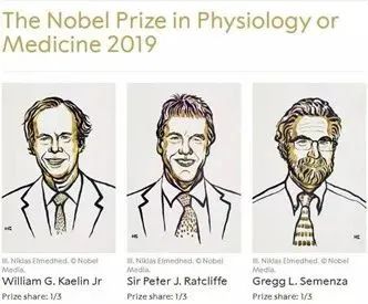 2019年诺贝尔生理学或医学奖获得者