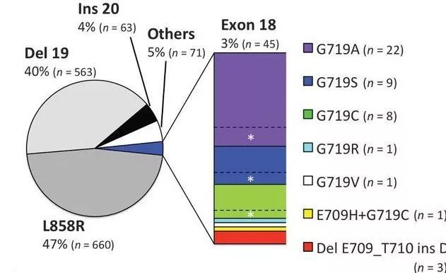 罕見EGFR突變的分布