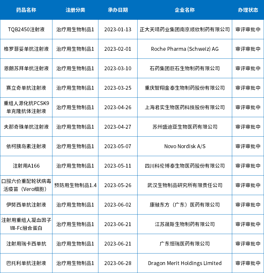 2023年上半年新承辦生物制品1類新藥上市申請(qǐng)