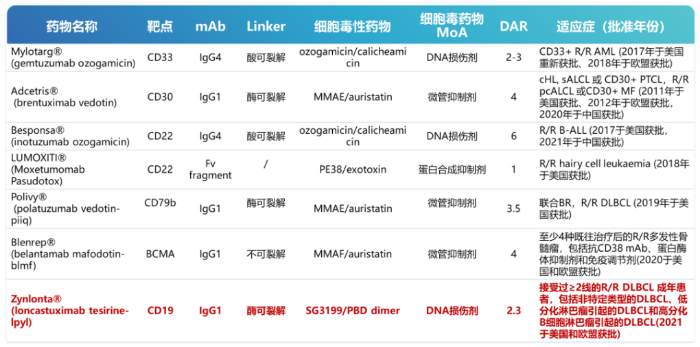 目前血液腫瘤領(lǐng)域已獲批上市的ADC藥物列表