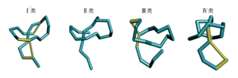 根据套索肽所含二硫键的数量和形成的位置不同可将其分为4类