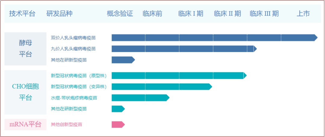 上海澤潤公開的在研項目