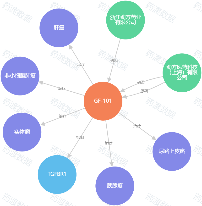 GFH018（GF-101）知识图谱