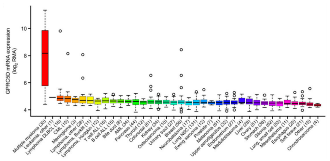 GPRC5D在多发性骨髓瘤细胞中特异性表达