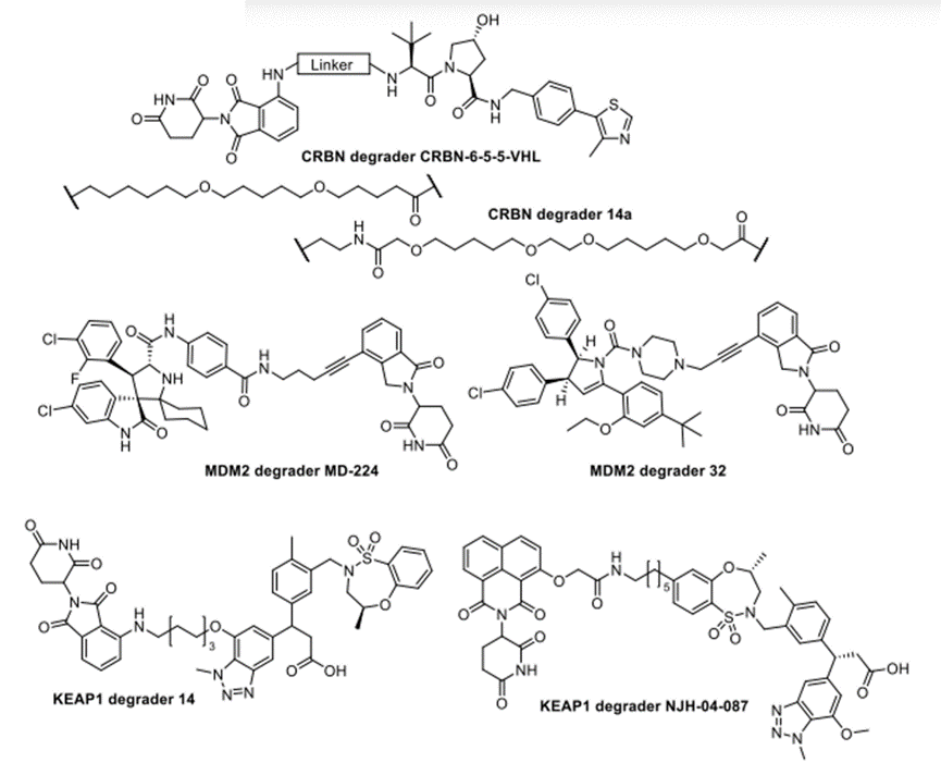 异型双功能E3连接酶降解剂