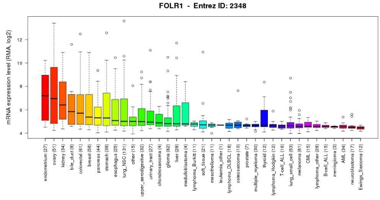 FOLR1基因在肿瘤模型中的表达水平