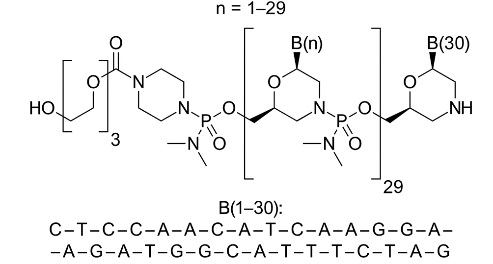 寡核苷酸