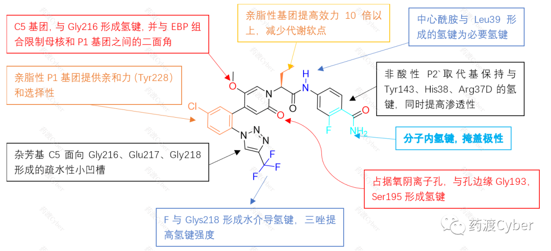 Asundexian的優(yōu)化過程